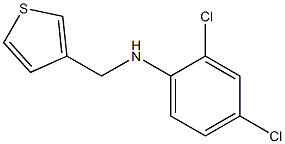 2,4-dichloro-N-(thiophen-3-ylmethyl)aniline 化学構造式