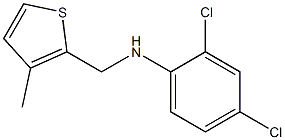 2,4-dichloro-N-[(3-methylthiophen-2-yl)methyl]aniline,,结构式