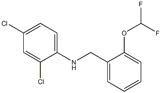 2,4-dichloro-N-{[2-(difluoromethoxy)phenyl]methyl}aniline Structure