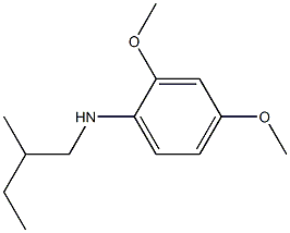 2,4-dimethoxy-N-(2-methylbutyl)aniline|