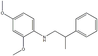 2,4-dimethoxy-N-(2-phenylpropyl)aniline