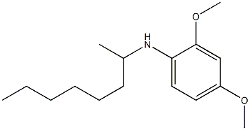 2,4-dimethoxy-N-(octan-2-yl)aniline Structure