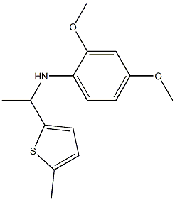 2,4-dimethoxy-N-[1-(5-methylthiophen-2-yl)ethyl]aniline Structure