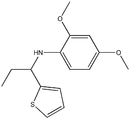 2,4-dimethoxy-N-[1-(thiophen-2-yl)propyl]aniline|
