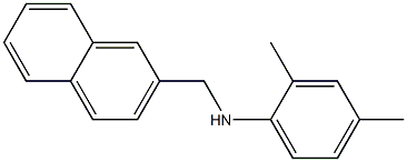 2,4-dimethyl-N-(naphthalen-2-ylmethyl)aniline 化学構造式
