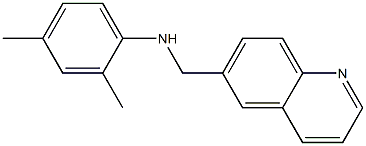 2,4-dimethyl-N-(quinolin-6-ylmethyl)aniline,,结构式