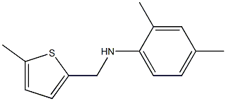 2,4-dimethyl-N-[(5-methylthiophen-2-yl)methyl]aniline 化学構造式