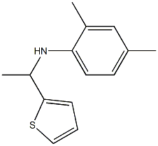 2,4-dimethyl-N-[1-(thiophen-2-yl)ethyl]aniline Structure