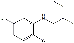 2,5-dichloro-N-(2-methylbutyl)aniline Structure