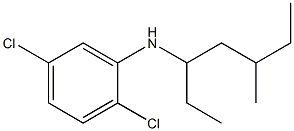 2,5-dichloro-N-(5-methylheptan-3-yl)aniline Structure