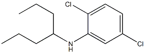2,5-dichloro-N-(heptan-4-yl)aniline 化学構造式
