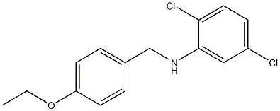 2,5-dichloro-N-[(4-ethoxyphenyl)methyl]aniline 化学構造式