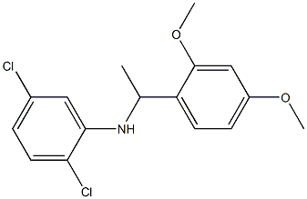  2,5-dichloro-N-[1-(2,4-dimethoxyphenyl)ethyl]aniline