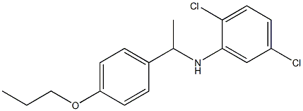 2,5-dichloro-N-[1-(4-propoxyphenyl)ethyl]aniline|