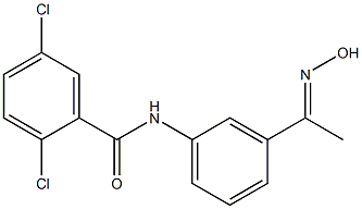 2,5-dichloro-N-{3-[1-(hydroxyimino)ethyl]phenyl}benzamide Structure