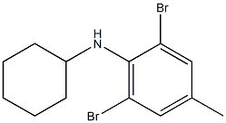 2,6-dibromo-N-cyclohexyl-4-methylaniline Structure