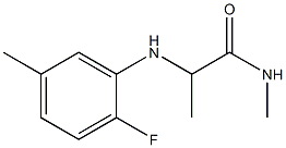 2-[(2-fluoro-5-methylphenyl)amino]-N-methylpropanamide Struktur