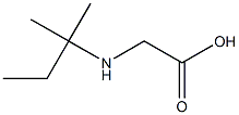 2-[(2-methylbutan-2-yl)amino]acetic acid Structure