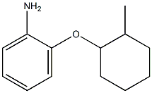  2-[(2-methylcyclohexyl)oxy]aniline