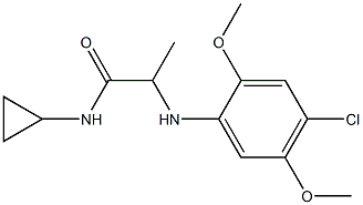 2-[(4-chloro-2,5-dimethoxyphenyl)amino]-N-cyclopropylpropanamide,,结构式