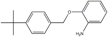 2-[(4-tert-butylphenyl)methoxy]aniline 化学構造式