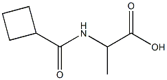 2-[(cyclobutylcarbonyl)amino]propanoic acid Struktur