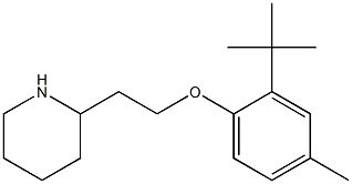 2-[2-(2-tert-butyl-4-methylphenoxy)ethyl]piperidine Struktur