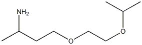 2-[2-(3-aminobutoxy)ethoxy]propane Structure