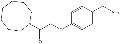 2-[4-(aminomethyl)phenoxy]-1-(azocan-1-yl)ethan-1-one|