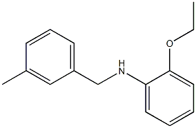 2-ethoxy-N-[(3-methylphenyl)methyl]aniline Structure