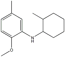 2-methoxy-5-methyl-N-(2-methylcyclohexyl)aniline,,结构式