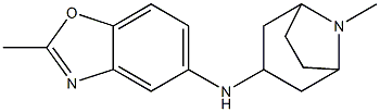 2-methyl-N-{8-methyl-8-azabicyclo[3.2.1]octan-3-yl}-1,3-benzoxazol-5-amine 化学構造式