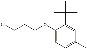 2-tert-butyl-1-(3-chloropropoxy)-4-methylbenzene 化学構造式
