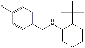  2-tert-butyl-N-[(4-fluorophenyl)methyl]cyclohexan-1-amine