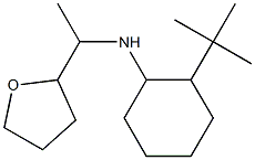 2-tert-butyl-N-[1-(oxolan-2-yl)ethyl]cyclohexan-1-amine Structure