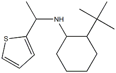 2-tert-butyl-N-[1-(thiophen-2-yl)ethyl]cyclohexan-1-amine,,结构式