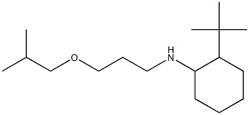 2-tert-butyl-N-[3-(2-methylpropoxy)propyl]cyclohexan-1-amine,,结构式