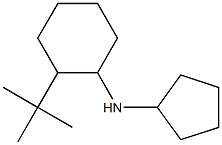 2-tert-butyl-N-cyclopentylcyclohexan-1-amine,,结构式