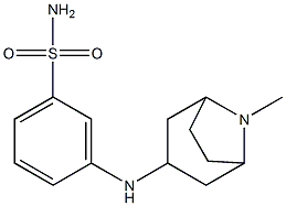 3-({8-methyl-8-azabicyclo[3.2.1]octan-3-yl}amino)benzene-1-sulfonamide