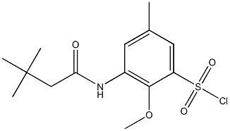 3-(3,3-dimethylbutanamido)-2-methoxy-5-methylbenzene-1-sulfonyl chloride