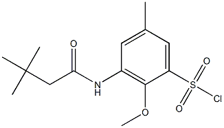 3-(3,3-dimethylbutanamido)-2-methoxy-5-methylbenzene-1-sulfonyl chloride 结构式