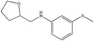 3-(methylsulfanyl)-N-(oxolan-2-ylmethyl)aniline Struktur