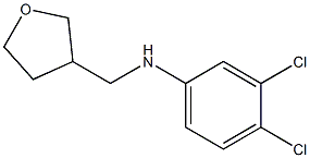 3,4-dichloro-N-(oxolan-3-ylmethyl)aniline Structure
