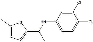 3,4-dichloro-N-[1-(5-methylthiophen-2-yl)ethyl]aniline 化学構造式