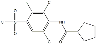 3,5-dichloro-4-cyclopentaneamido-2-methylbenzene-1-sulfonyl chloride Struktur