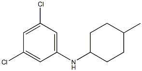 3,5-dichloro-N-(4-methylcyclohexyl)aniline Structure