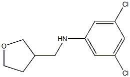 3,5-dichloro-N-(oxolan-3-ylmethyl)aniline Structure