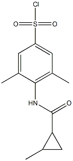  3,5-dimethyl-4-[(2-methylcyclopropane)amido]benzene-1-sulfonyl chloride