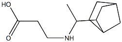 3-[(1-{bicyclo[2.2.1]heptan-2-yl}ethyl)amino]propanoic acid
