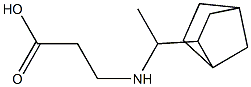  3-[(1-{bicyclo[2.2.1]heptan-2-yl}ethyl)amino]propanoic acid